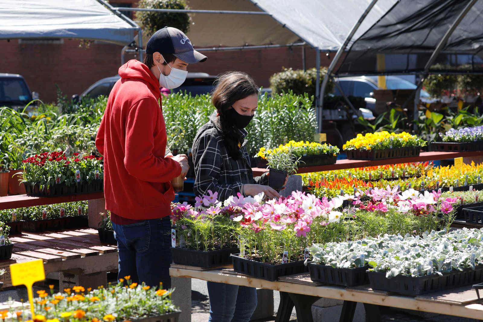 Clinton Bailey Farmers Market (copy) flowers